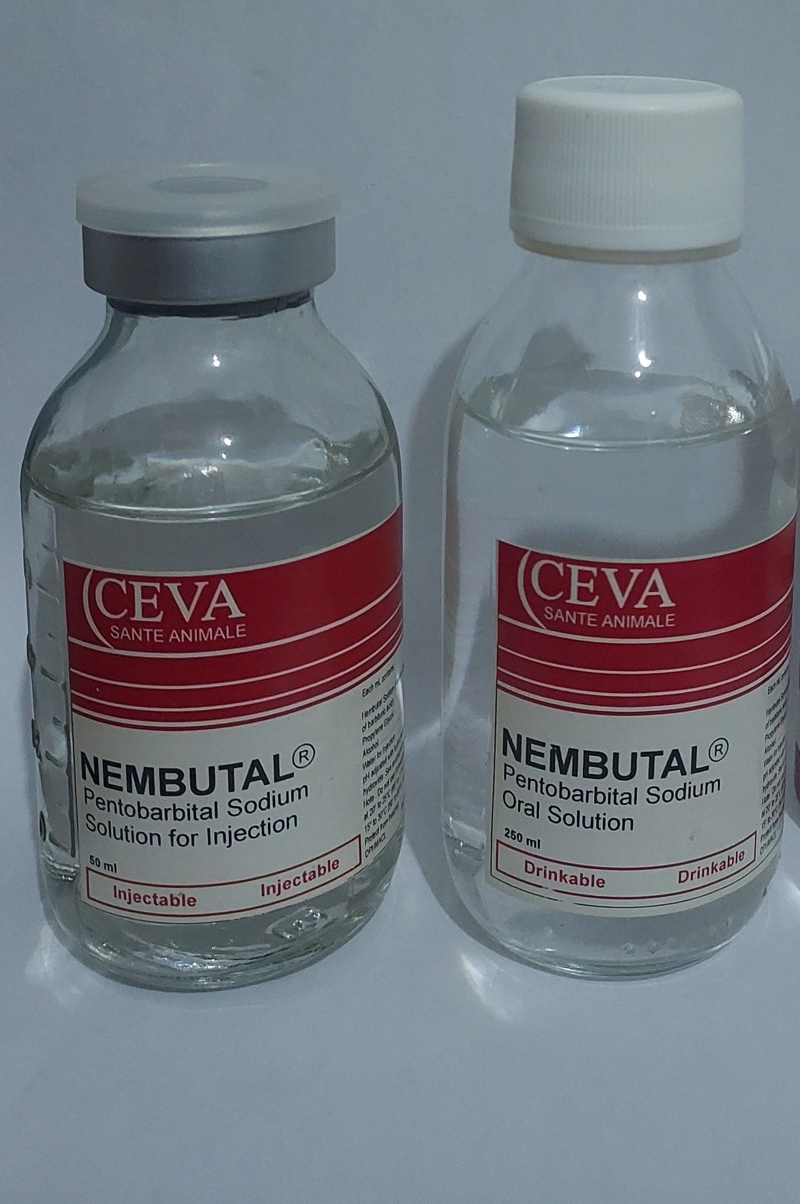 Acheter du pentobarbital buvable